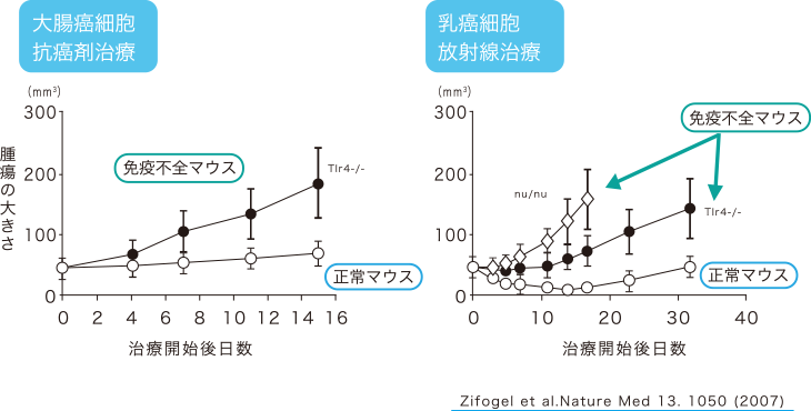 マウスを使った免疫力の比較実験