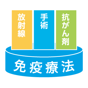 抗がん剤・放射線治療・手術を併用して免疫療法を行う