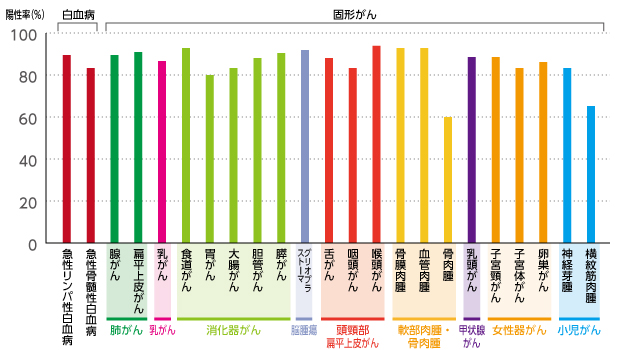 WT1ペプチドの働き